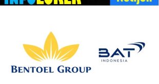 Lowongan PT Export Leaf Indonesia